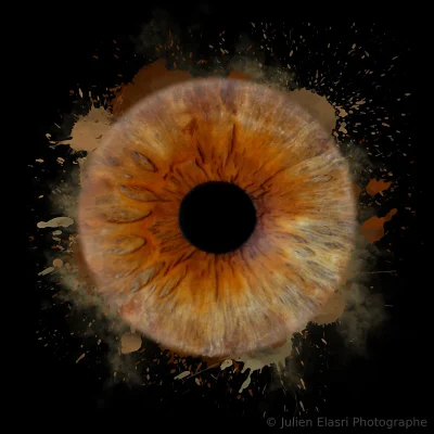 Photographie macro iris haute définition - Julien Elasri Photographe Nancy