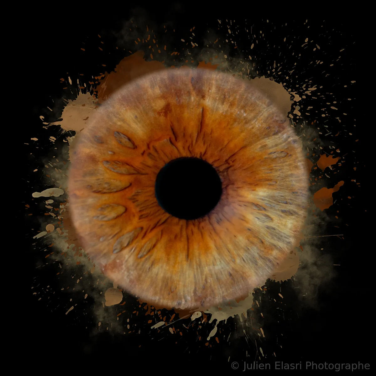 Photographie iris - Julien Elasri Photographe Nancy