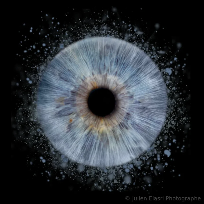 Photographie d'iris macro