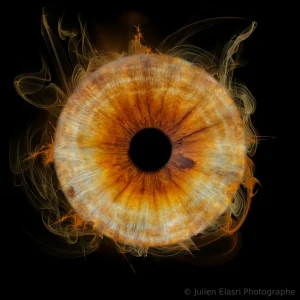 Comment se déroule une séance photo d'iris à Nancy ?