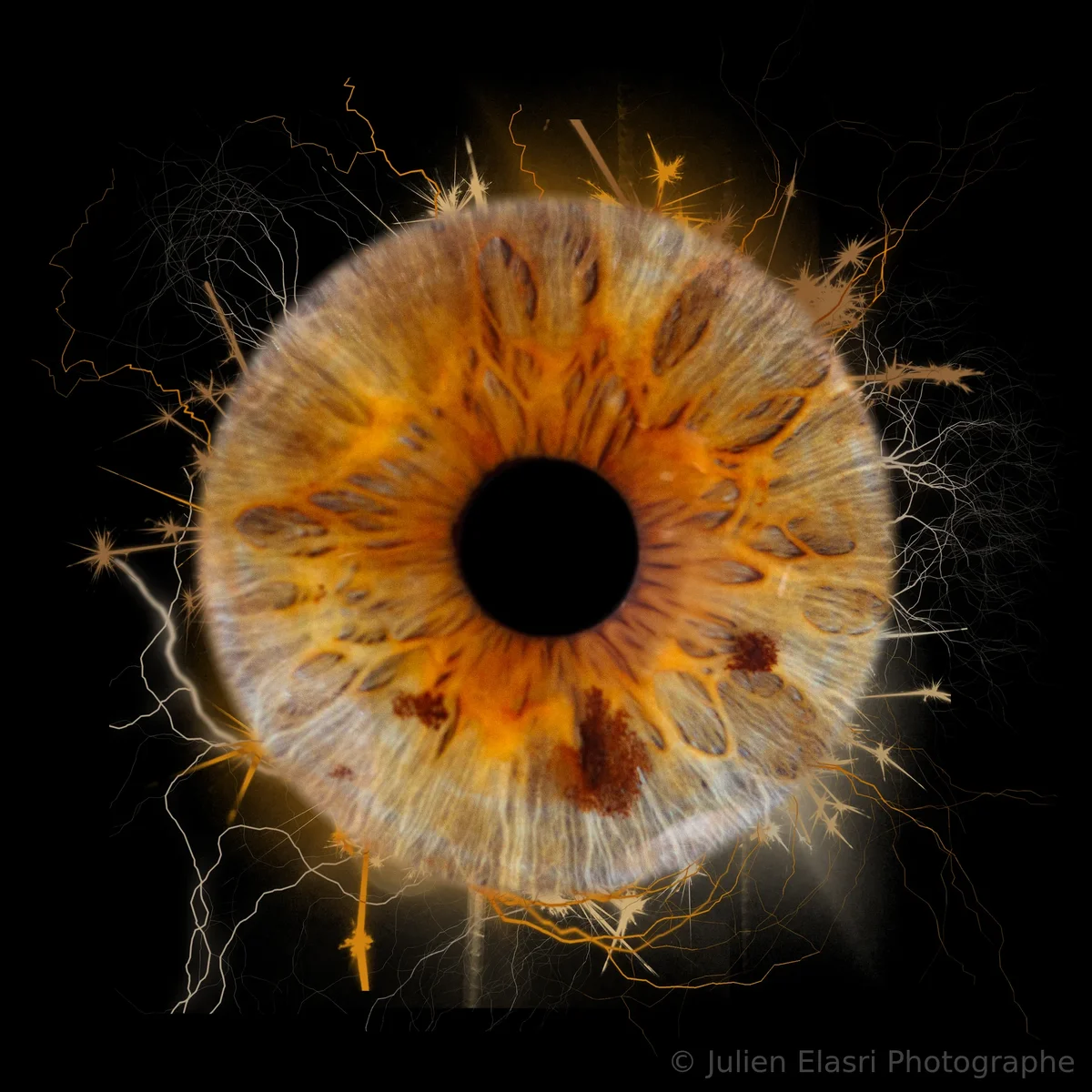 Iris oeuvre d'art Nancy
