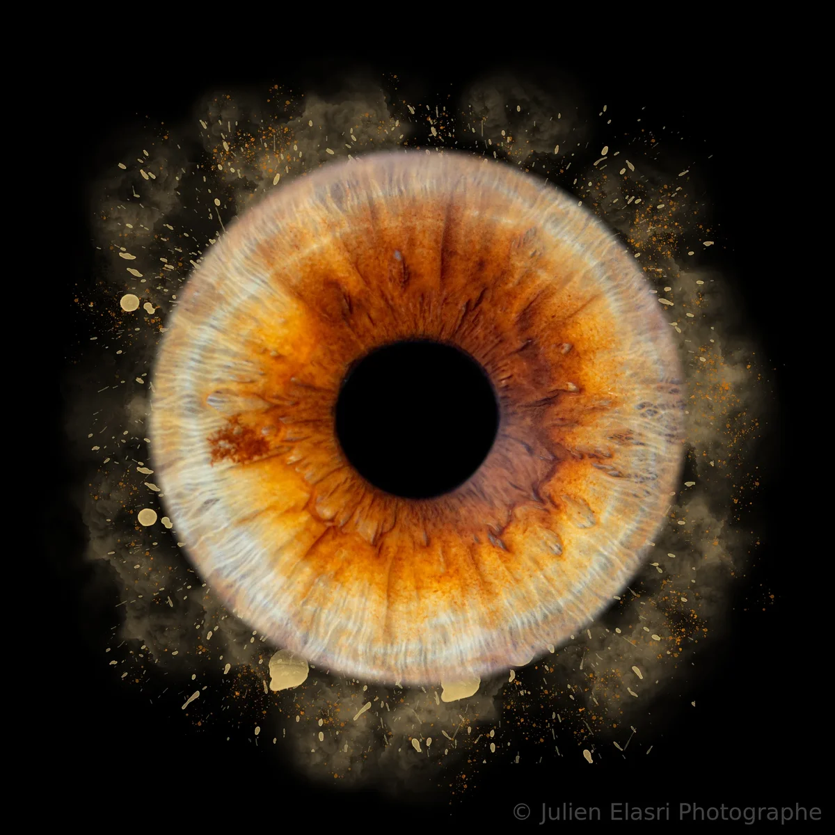 Iris unique - Julien Elasri
