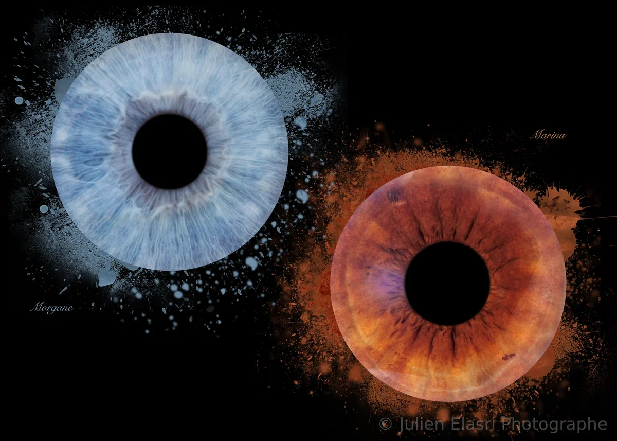 Panorama diptyque iris - Julien Elasri Photographe Nancy
