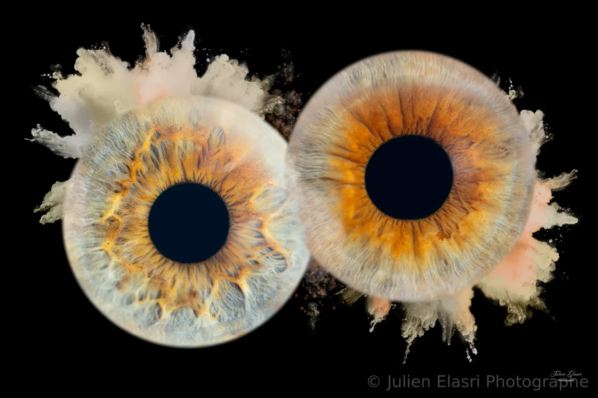Panorama iris - Julien Elasri Nancy