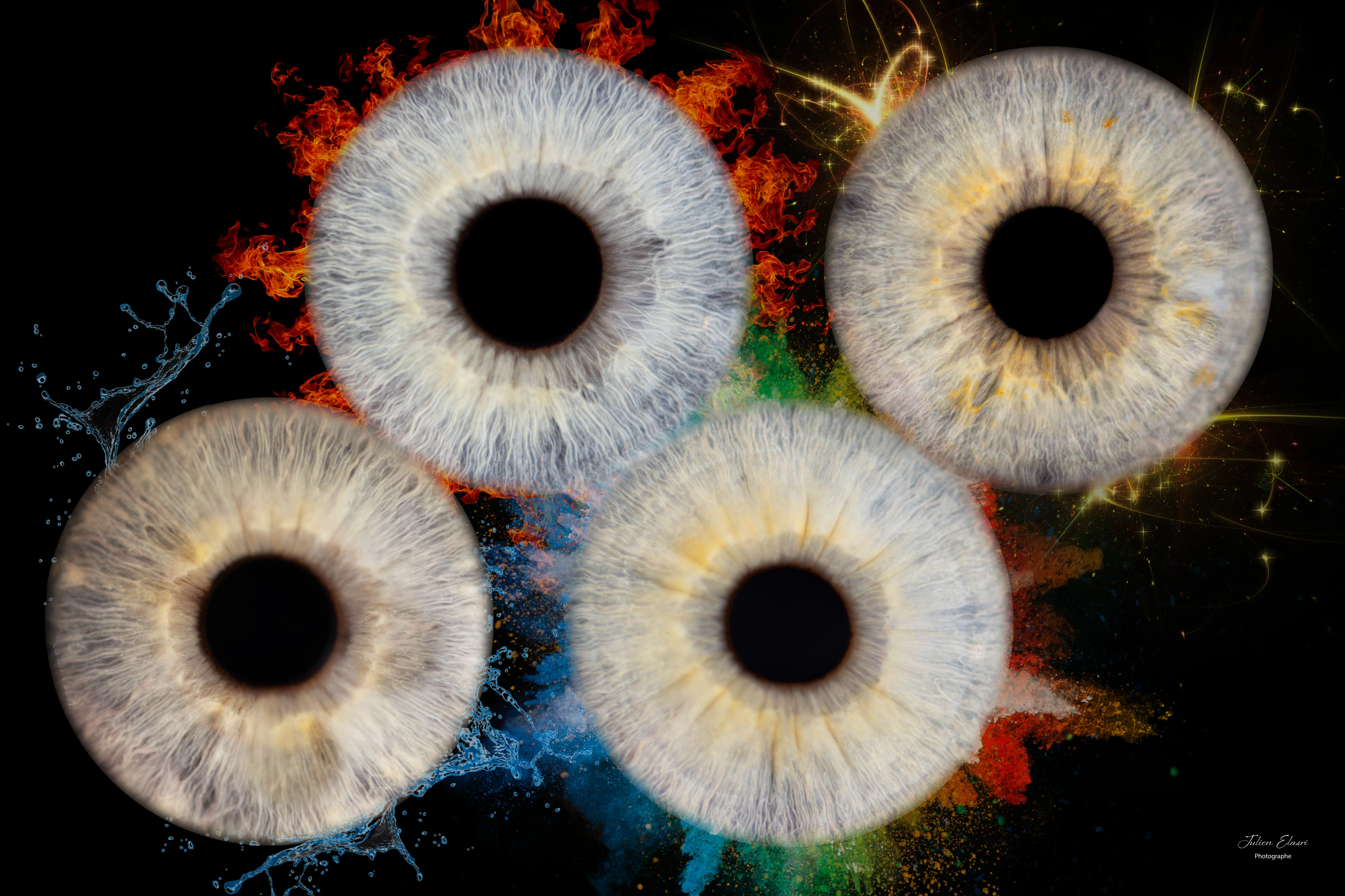Photographie macro iris 15 - Julien Elasri photographe Nancy