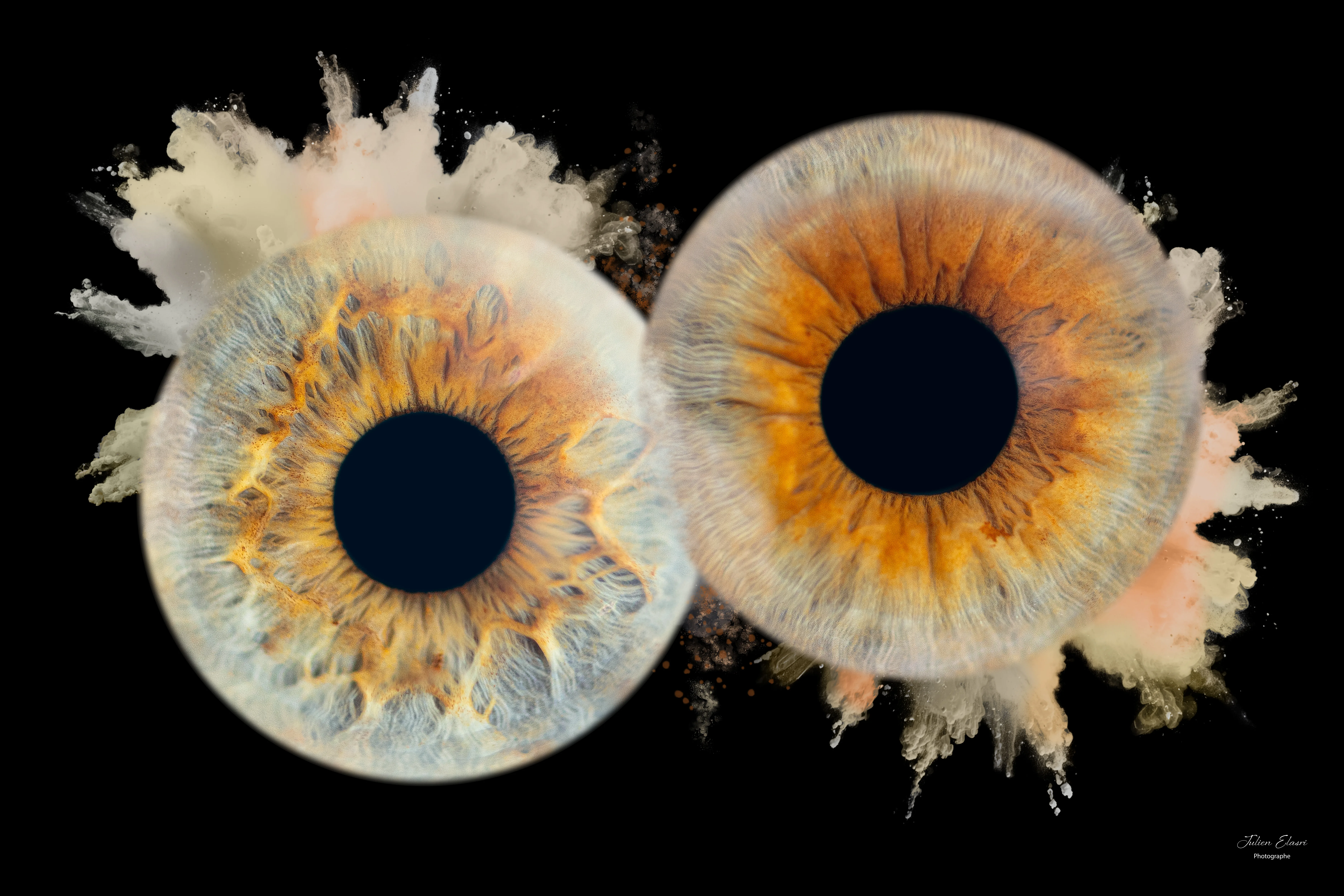 Photographie macro iris 18 - Julien Elasri photographe Nancy