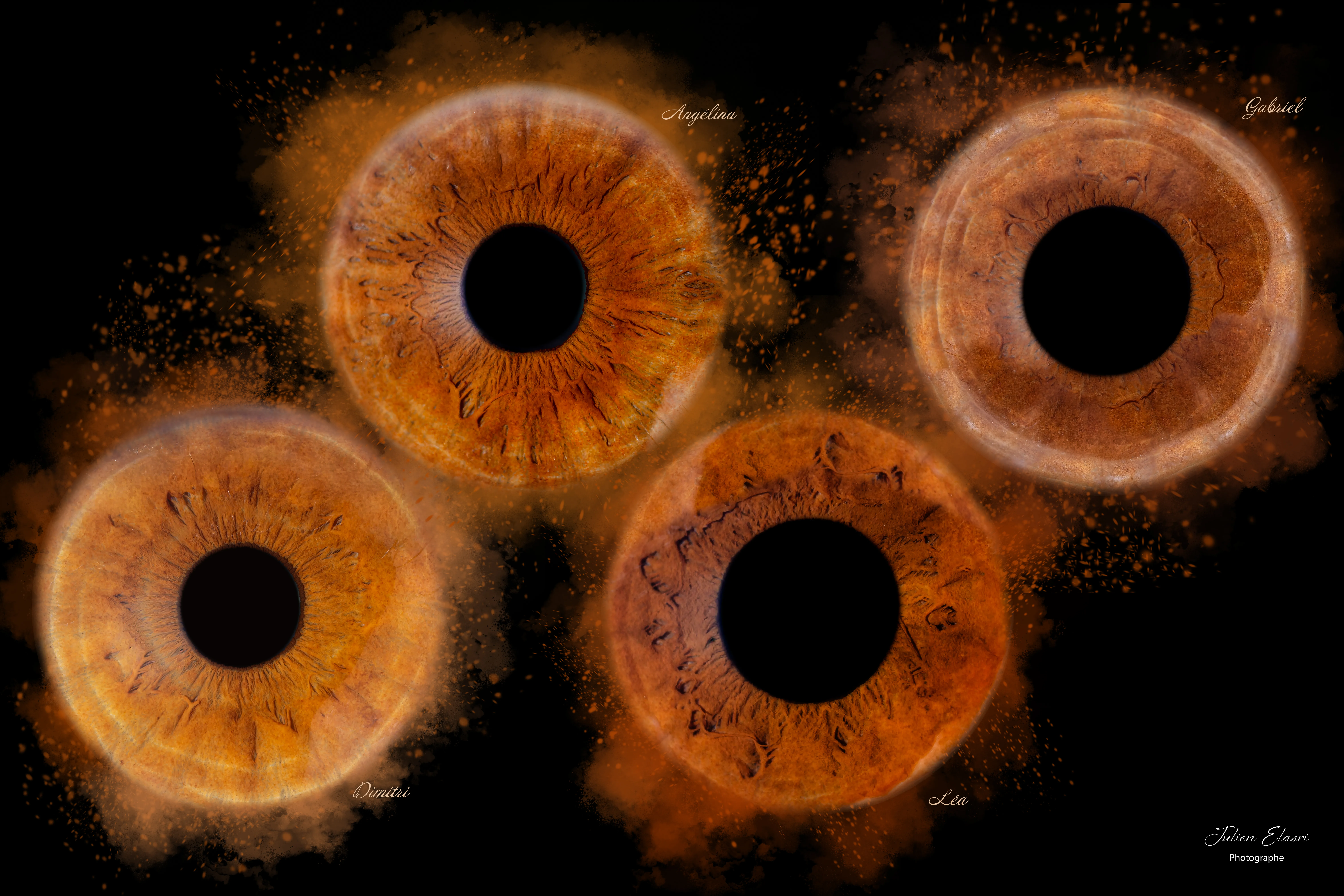 Photographie macro iris 13 - Julien Elasri photographe Nancy