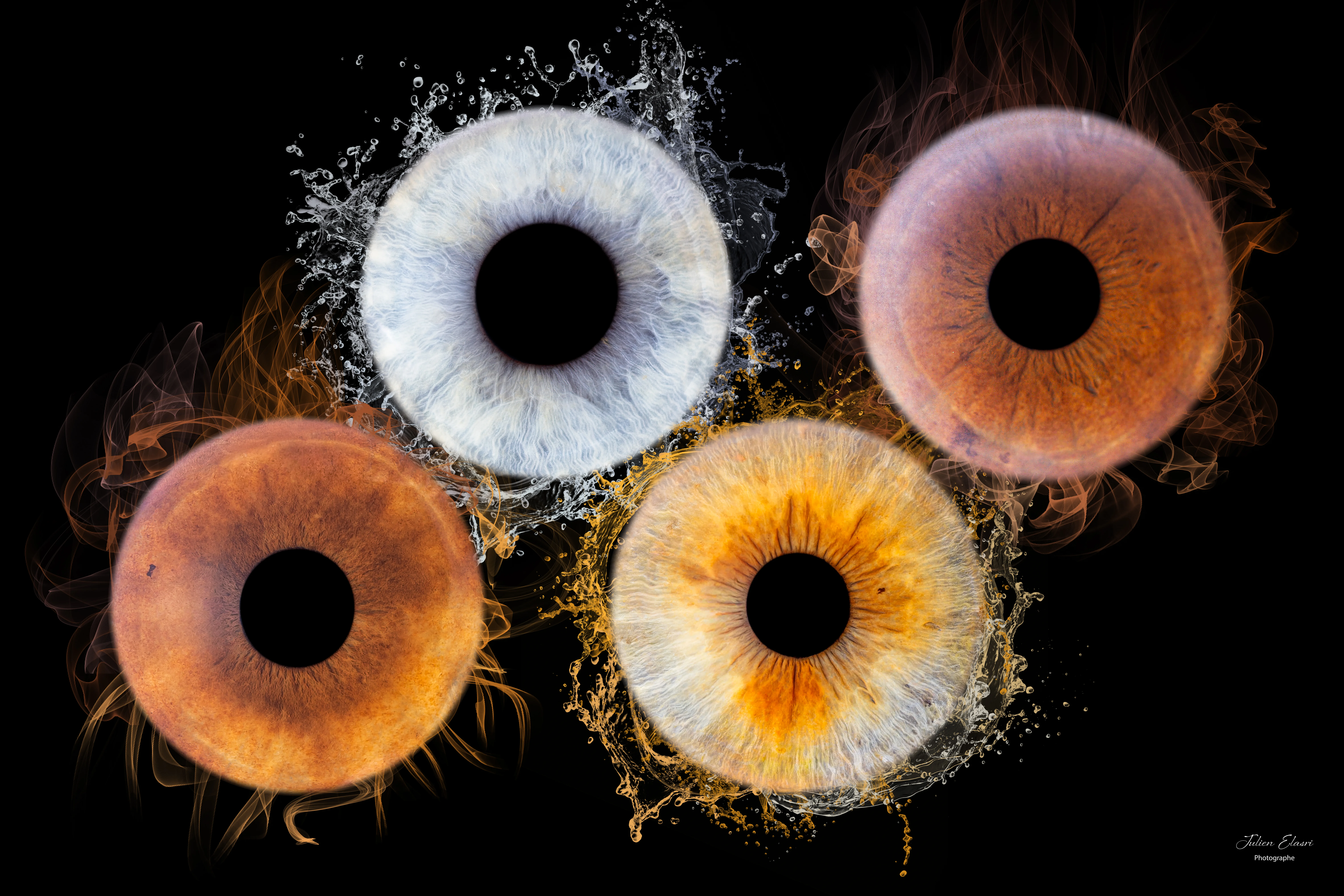 Photographie macro iris 14 - Julien Elasri photographe Nancy